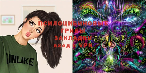 прущая мука Дмитров