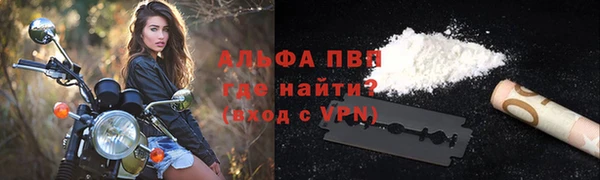амф Дмитриев