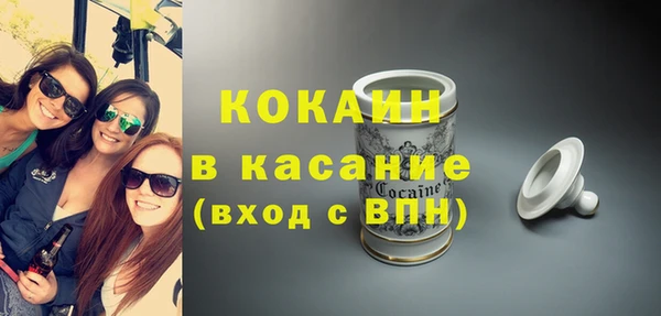 индика Алзамай