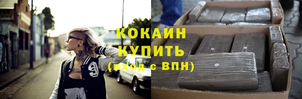 индика Инсар