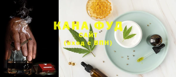 индика Алзамай