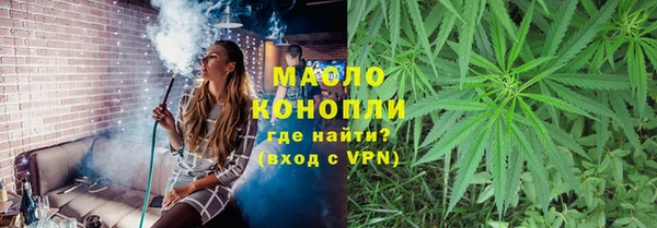 твердый Инта