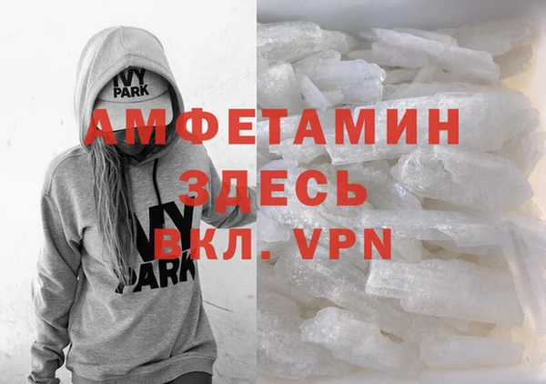 индика Алзамай