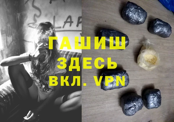 индика Алзамай