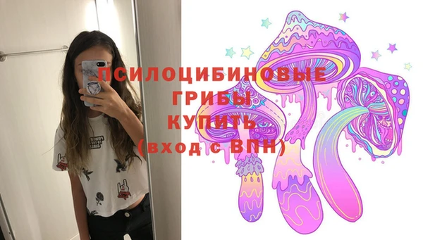 индика Алзамай