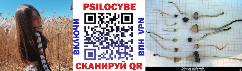 закладки  Туймазы  Галлюциногенные грибы Psilocybine cubensis 